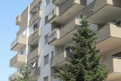 dopo-33