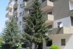 dopo-34